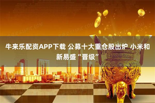 牛来乐配资APP下载 公募十大重仓股出炉 小米和新易盛“晋级”