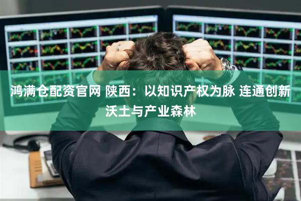 鸿满仓配资官网 陕西：以知识产权为脉 连通创新沃土与产业森林