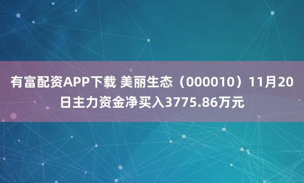 有富配资APP下载 美丽生态（000010）11月20日主力资金净买入3775.86万元