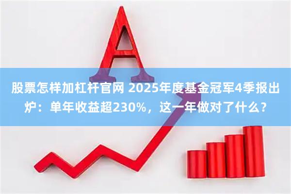 股票怎样加杠杆官网 2025年度基金冠军4季报出炉：单年收益超230%，这一年做对了什么？