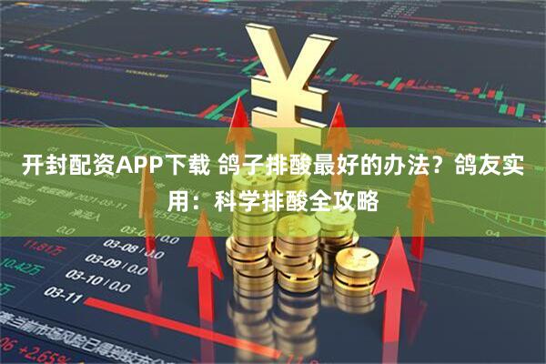 开封配资APP下载 鸽子排酸最好的办法？鸽友实用：科学排酸全攻略
