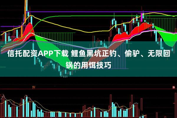 信托配资APP下载 鲤鱼黑坑正钓、偷驴、无限回锅的用饵技巧